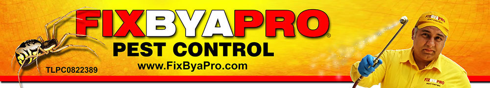 Fix By A Pro Service